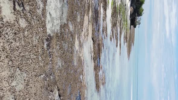 Vertical Video of the Ocean Near the Coast of Zanzibar Tanzania Aerial View