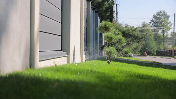 Automatic Watering of a Green Lawn Near the Fence of the House on a Sunny Day