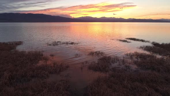 Aerial view flying over the reeds on Utah Lake during sunset