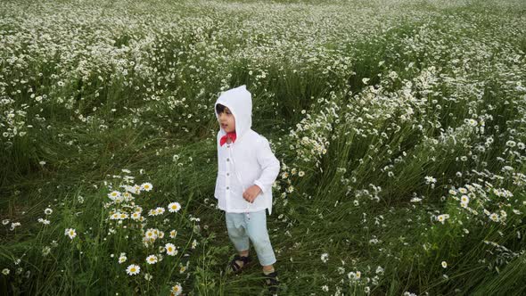 Boy Child Runs Through a Chamomile Field