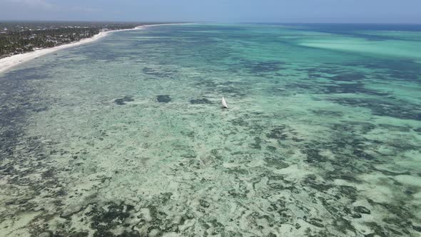 Shore of Zanzibar Island Tanzania at Low Tide Slow Motion