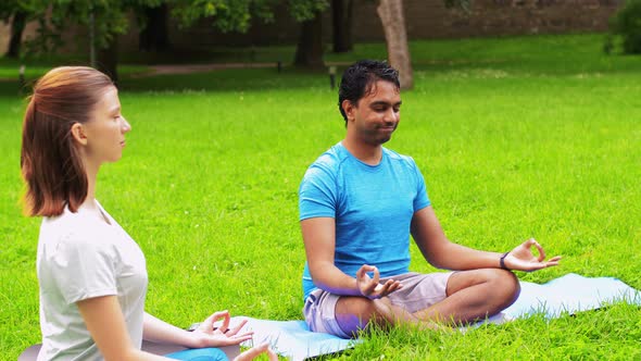 Group of People Doing Yoga at Summer Park