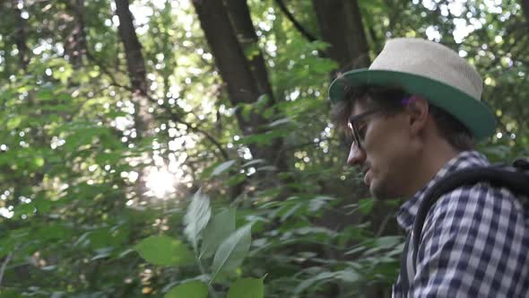 A Tourist Walks Through a Dense Green Forest