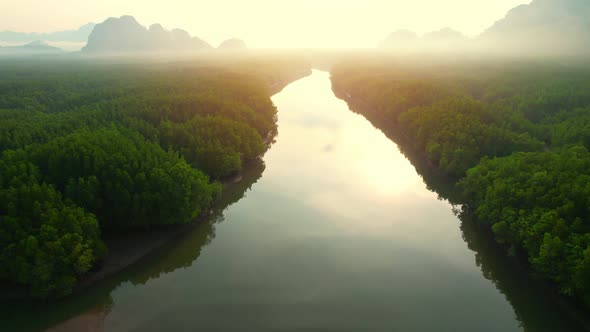 Aerial view over rivers and streams at beautiful large mangrove forests