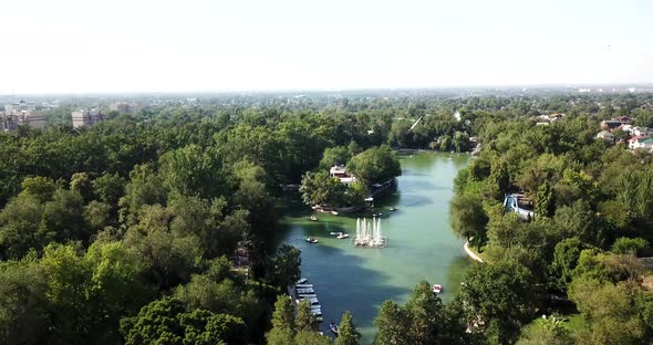 Pond Among the Green Trees of the Park