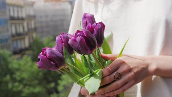 Bouquet of Flowers Purple Tulips in Woman Hands