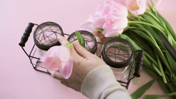 Light pink tulips on a pink background