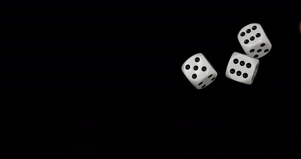 Dice rolling against Black background, slow motion 4K