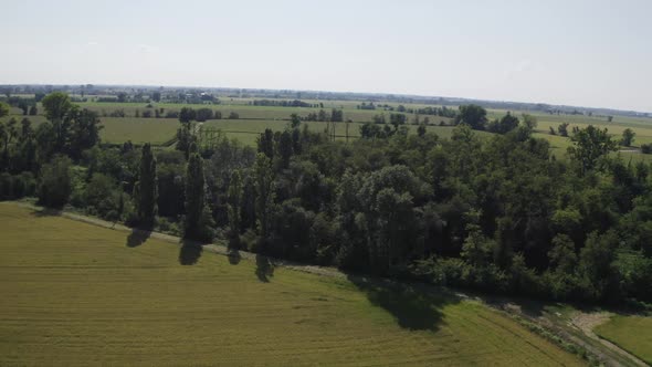 Aerial view on forest in italy