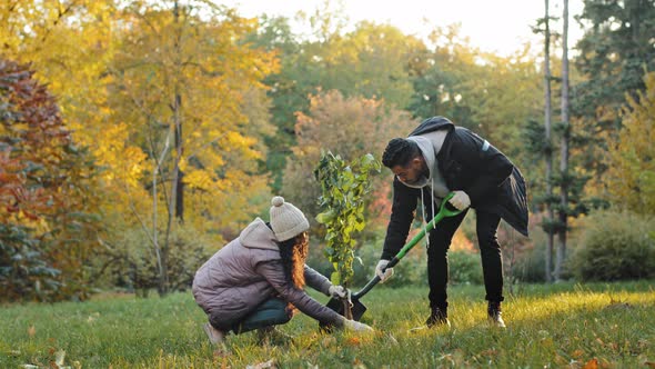 Group Young People Volunteers Environmental Protection Organizations Plant Tree in Autumn Park Take