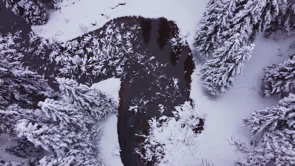 River In Snowy Forest