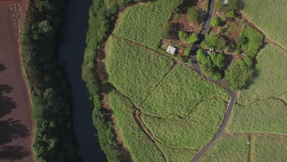 River and Sugar-cane Fields, Aerial View of Mauritius