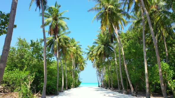 Aerial panorama of idyllic island beach adventure by aqua blue sea with white sandy background of a 