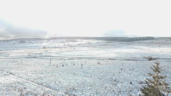 Snow-covered marshland with a pine forest in the distance as the drone lowers to the ground.