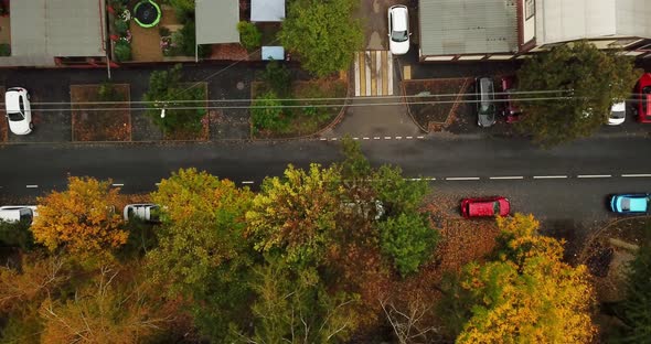 Top Down Drone Point of View - Steet City Road Intersection in Autumn Time