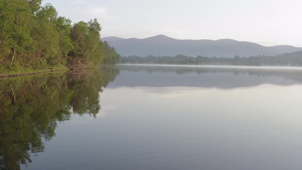 Forestry along lake shoreline flat calm water with mountains in distance