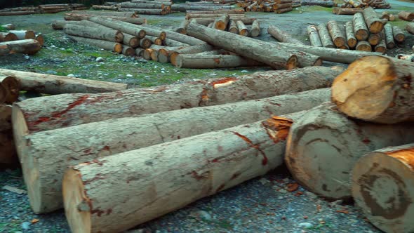 pile of wooden logs in the middle of mountains.