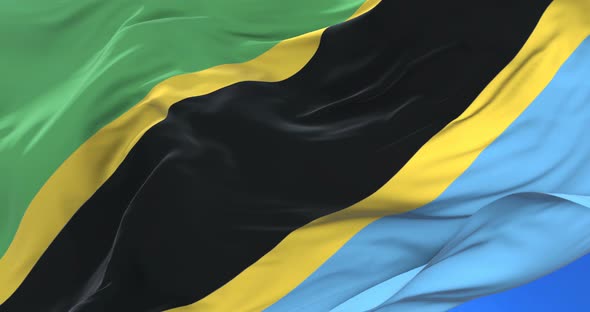 Flag of Tanzania