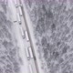 Thousands Stranded on Highway As Major Snowstorm and Blizzard Hits Hard Causing - VideoHive Item for Sale