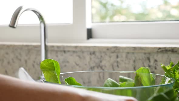 Woman Washing in Water Pok Choy and Kale Cabbage Leaves in Kitchen and Put It in Bowl