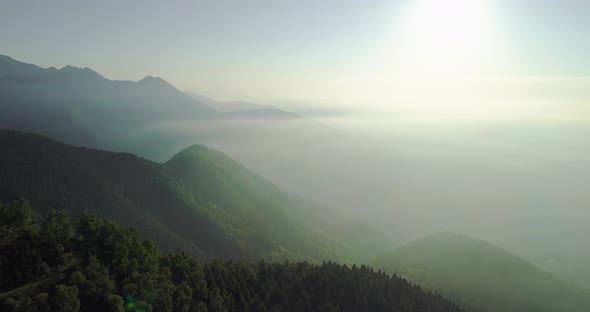 Aerial View of Green Foggy Forest