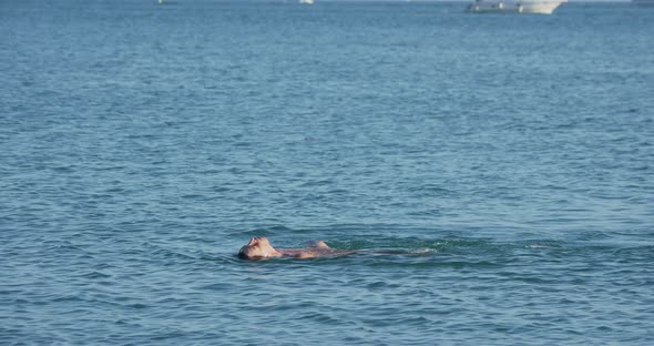 Man Swims in Sea