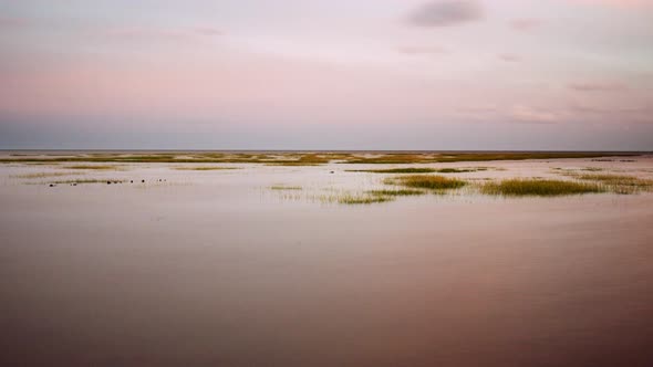 migratory waterbirds Wadden Sea Strieper Kwelder extreme high tide sunset