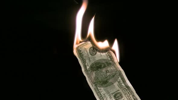 Bank note in super slow motion burning