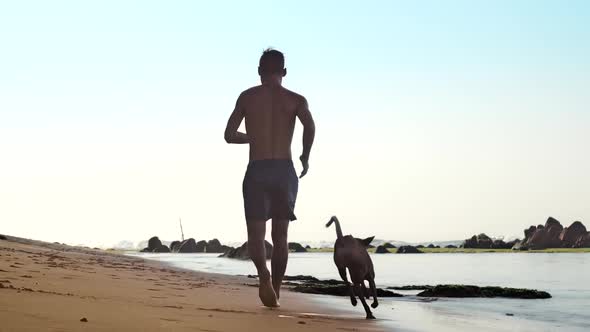 Man Runs Along Sandy Beach with Joyful Dogs Slow Motion