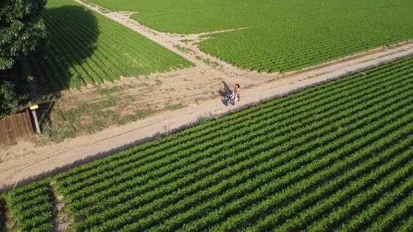 Mom walking with her baby stroller on a dirt road between the farm fields in Scherpenbeek, Belgium.