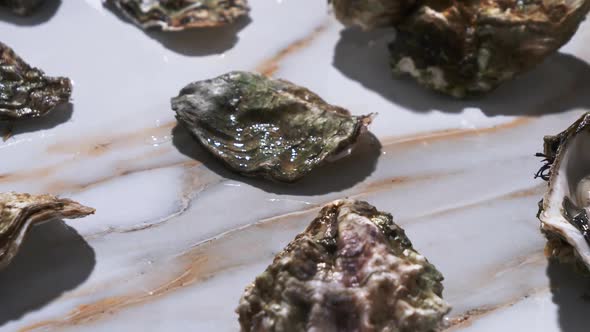 Video of fresh oysters on marble background