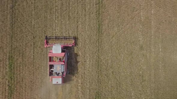 Combine Harvester Working on Wheat Field