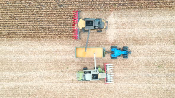 Aerial Shot of Two Combines Loading Off Corn Grains Into Tractor Trailer