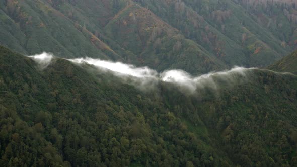 Cloud Eaterfall Flowing Down the Forest Surface