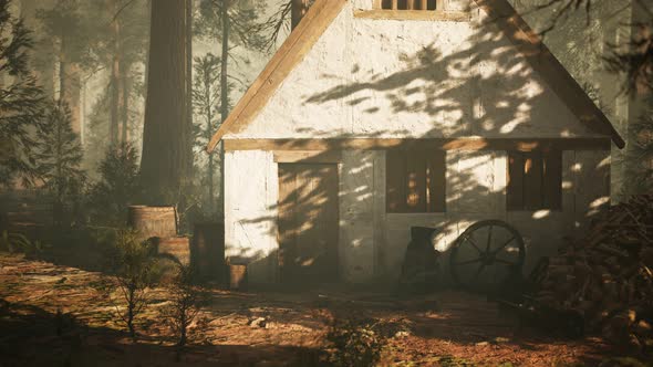 Old Wooden House in the Autumn Forest alt