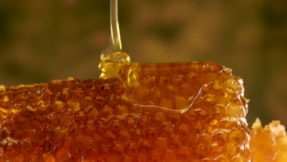 Golden Honey Pours on the Honeycomb