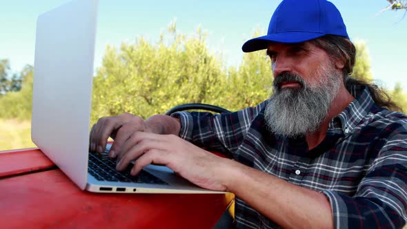 Man using laptop in olive farm 4k