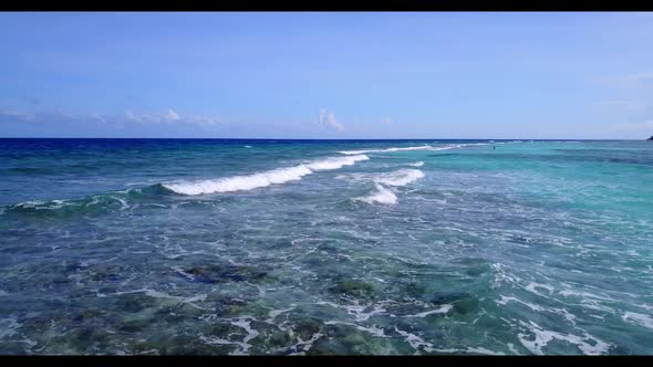 Aerial abstract of relaxing tourist beach wildlife by blue green water with clean sandy background o