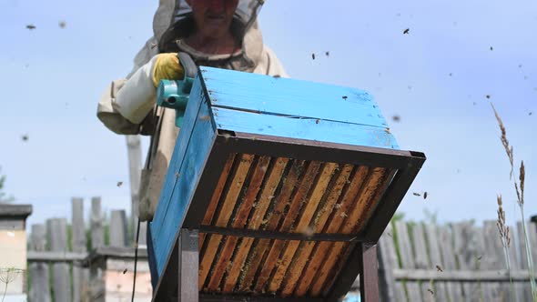 Beekeeper Uses Air-blowing Device To Brush Bees Aside. Bees Swarm in Collection Container. Beekeeper