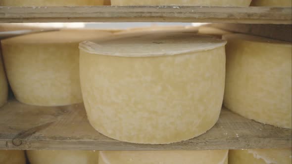 Cow Milk Cheese Stored in a Wooden Shelves and Left to Mature  Dolly Motion
