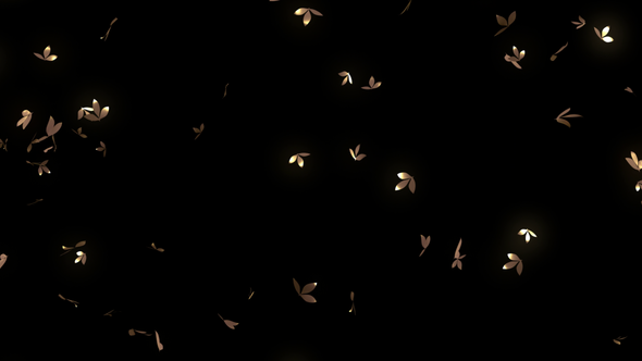 Gold Leaves Loop Widescreen alt