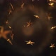 Christmas Flying Stars - VideoHive Item for Sale