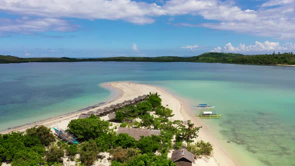 Coconut Trees on a White Beach