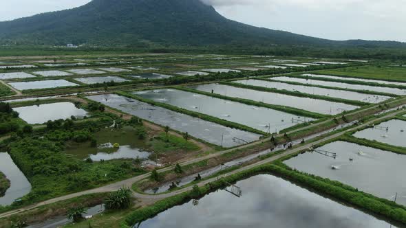 Prawn Fish Farm Aerial