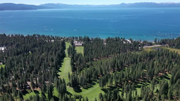 Lush Vegetation Surrounding Lake Tahoe In California - aerial drone shot