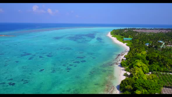 Aerial drone shot seascape of tranquil shore beach wildlife by blue lagoon with white sand backgroun
