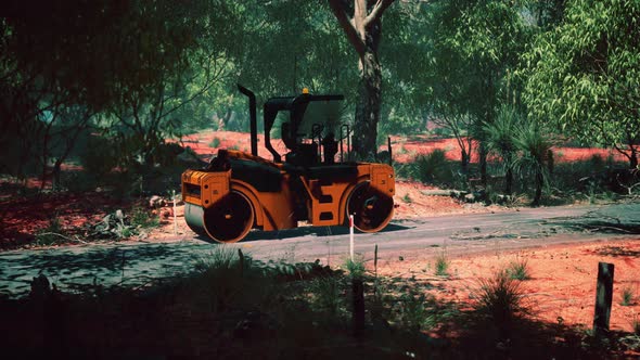 Road Roller Tractor in the Forest