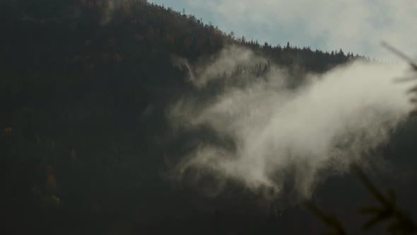 Morning Fog Over Fir Mountain Forest Misty Landscape Darkness Clouds