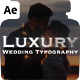 Luxury Wedding Typography & Ornament Animations for After Effects – 32 Animations - VideoHive Item for Sale