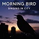 Morning Bird Singing in City